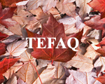 Особенности подготовки к TEFAQ